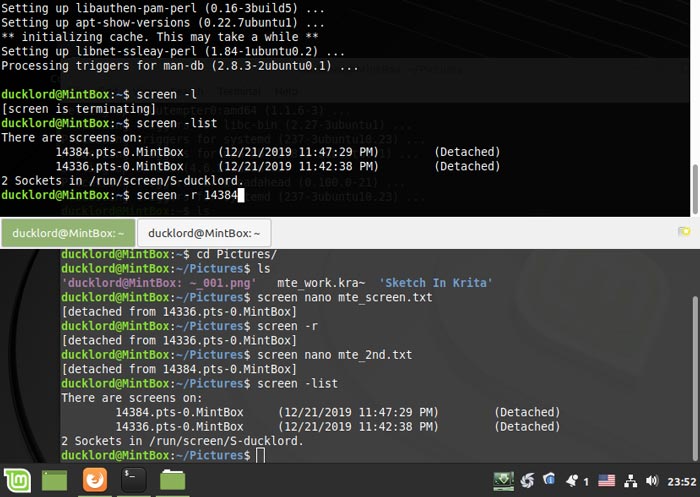 Screen Terminal Multitasking Multiple Terminals