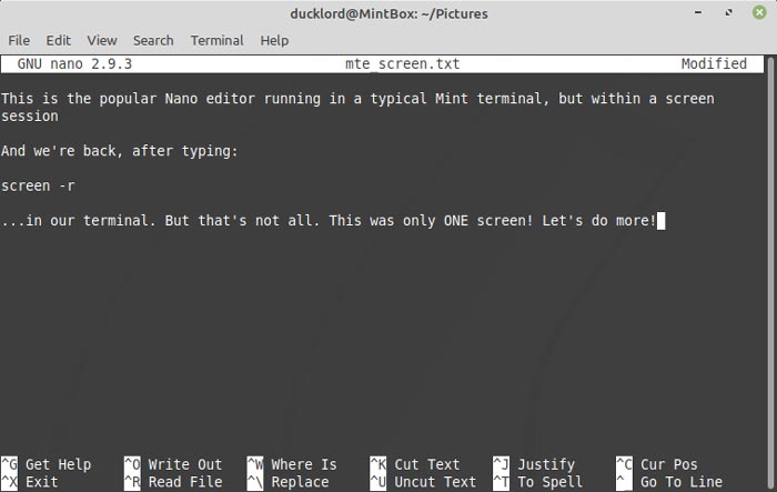 Screen Terminal Multitasking Re Attach