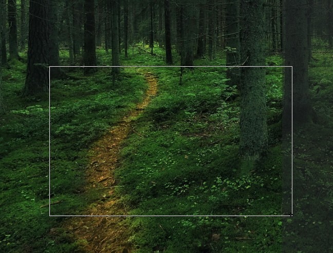 8 Linux Screenshot Tools Imagemagick