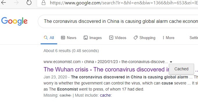 Google Specific Site Cached Page