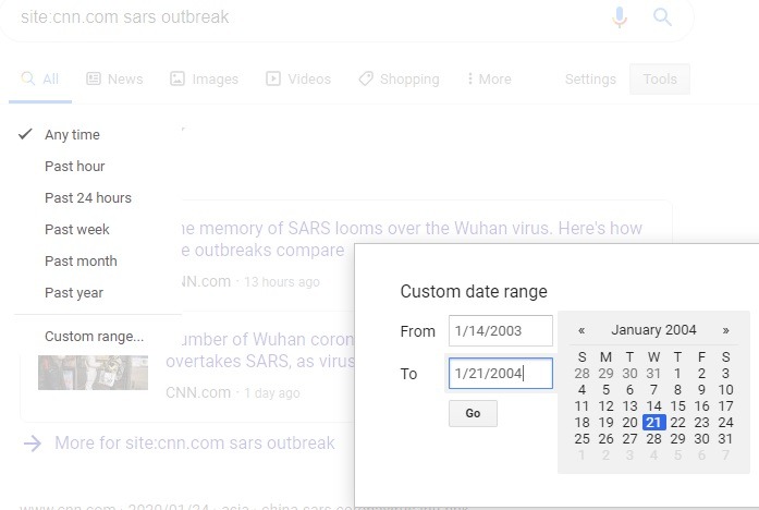 Google Specific Site Datewise Search Results