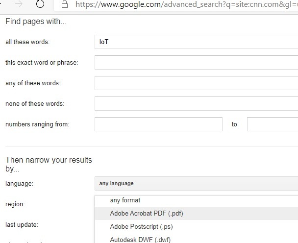 Google Specific Site Format Based Results