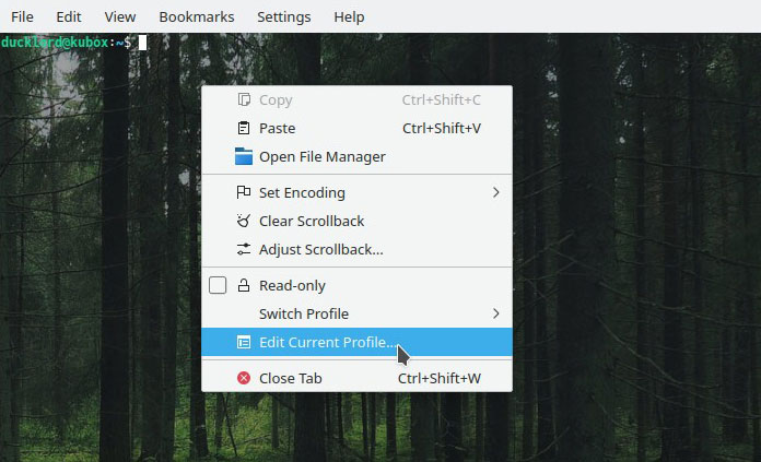 Konsole Wallpaper Edit Profile