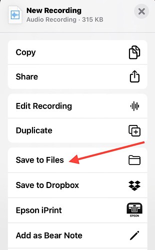 Voice Memos Iphone Files