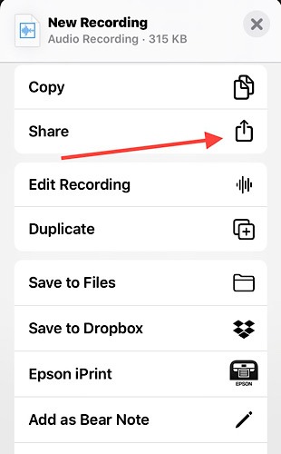 Voice Notes Iphone Share