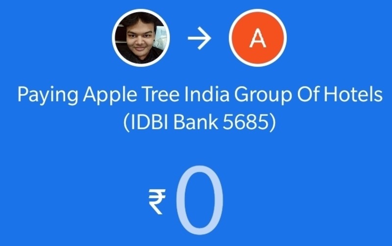 Google Pay Send Money