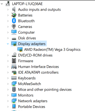 Graphics Card Identification Expand Display Adapters