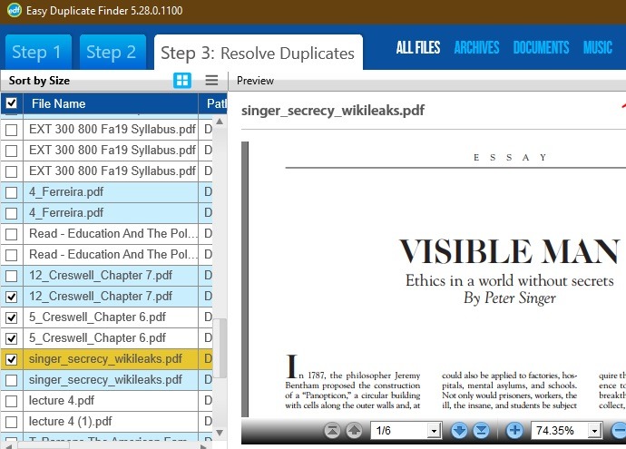 Delete Duplicate Files Windows Easy Duplicate Finder Files Preview
