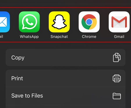 Full Page Screenshot Ios Share Options