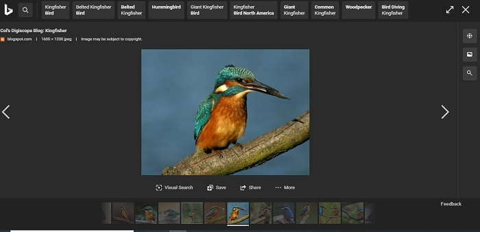 Is Bing Better Than Google Horizontal Image Scrolling With Bing