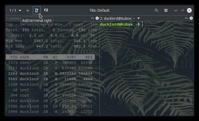 Upgraded Terminal With Tilix Split Vertically