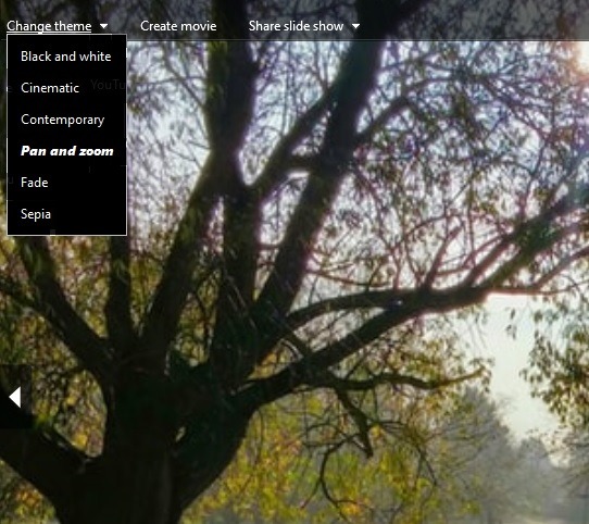 View Slideshow Windows 10 Photo Gallery