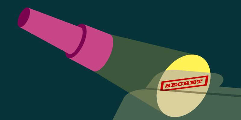 Nothing To Hide Secret