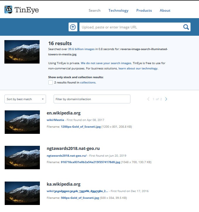 Reverse Image Search Mestia Tiney