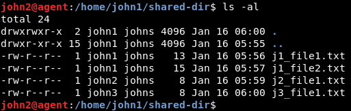 files in shared directory