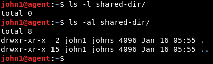 ls command on shared directory