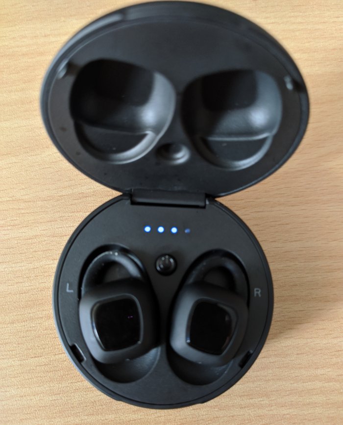 Xfyro Aria Earbuds In Case