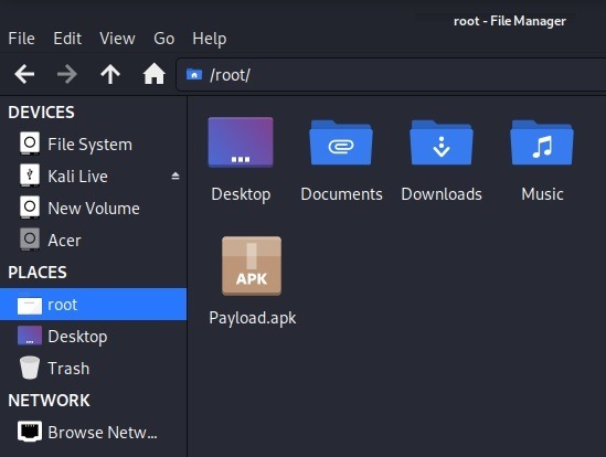 Android Camera Kali Linux Payload Installed In Root
