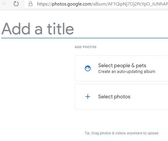 Google Photos For You Create Album First Page