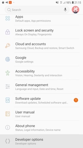 The "Settings" menu contains a "Developer Options" sub-menu. 