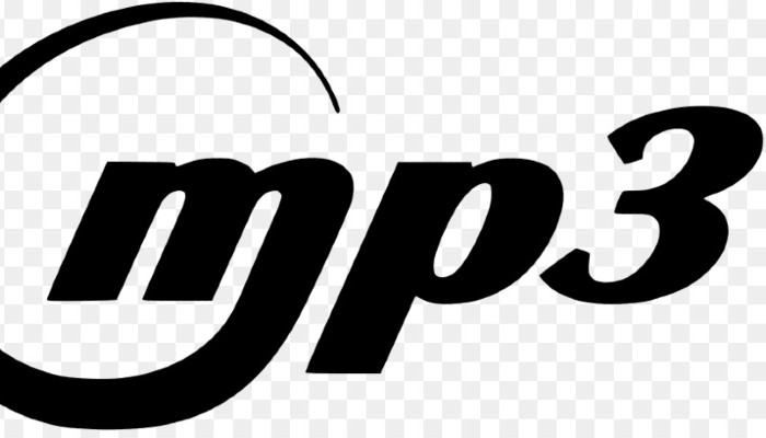 Flac To Mp3 Mp3 Logo