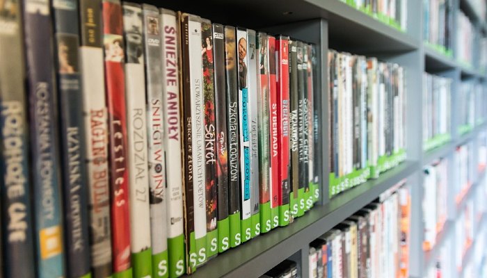 Netflix Dvd Library Netflix Dvd Library