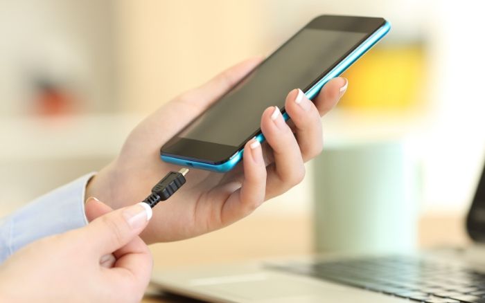 Sanitize Clean Phone Unplug