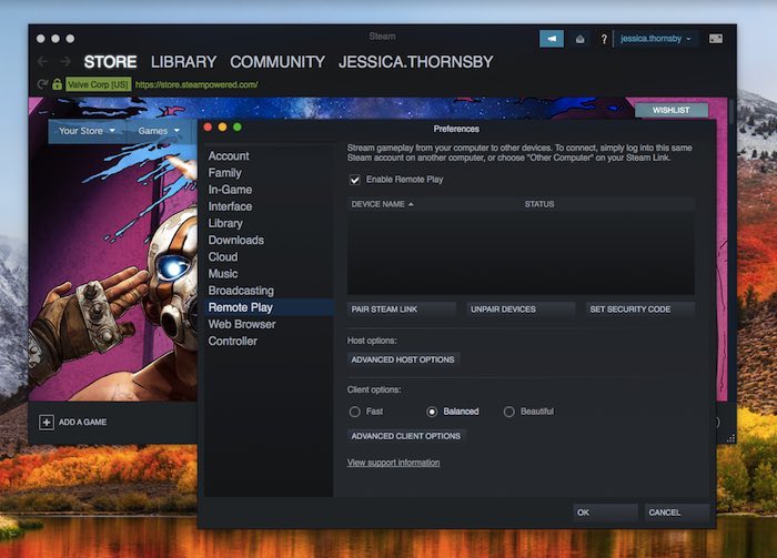 Launch the Steam app and enable remote play.
