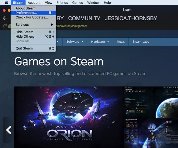 Steam Preferences Remote Play