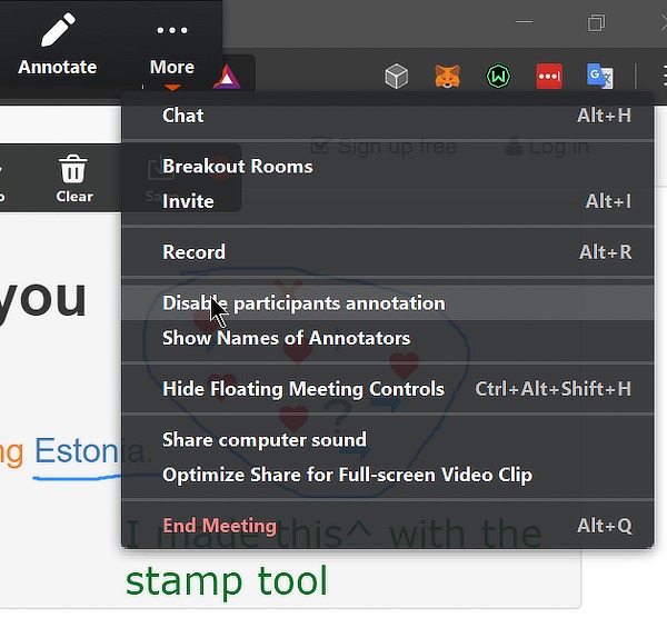 Zoom Features Annotate Tool Controls