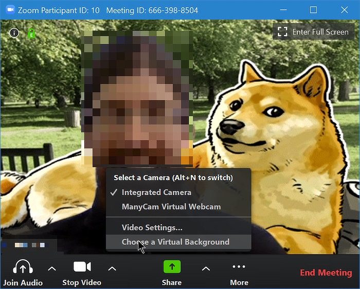 Zoom Features Virtual Background