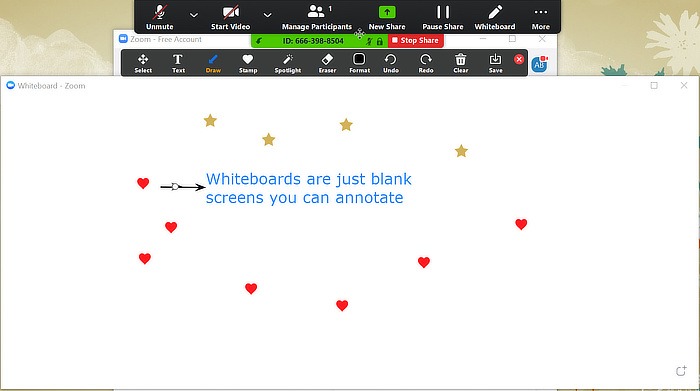 Zoom Features Whiteboard Example