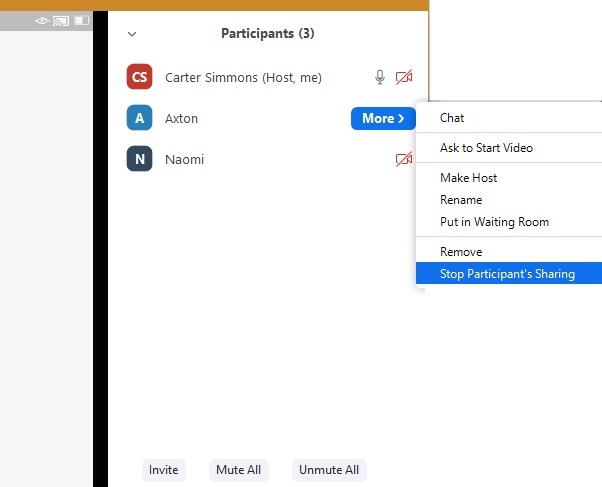 Presenter Mode Zoom Stop Sharing