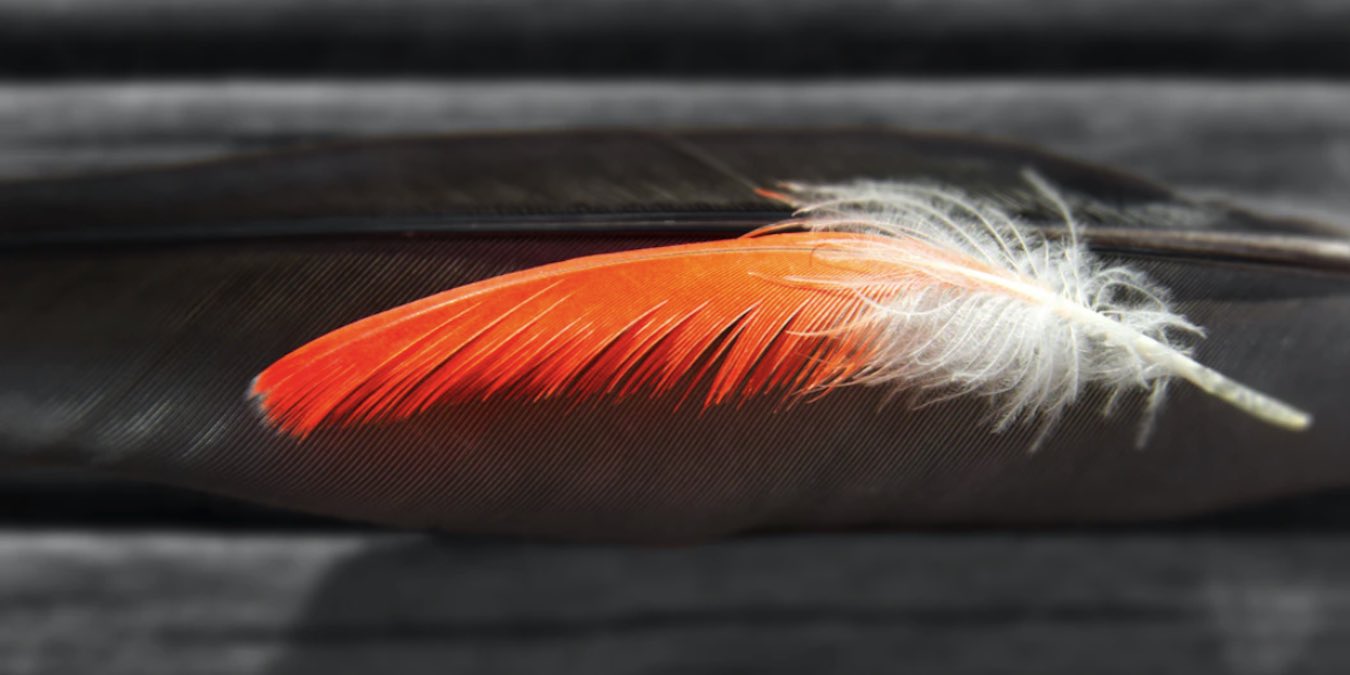 How to Turn Your Raspberry Pi into a Personal Web Server