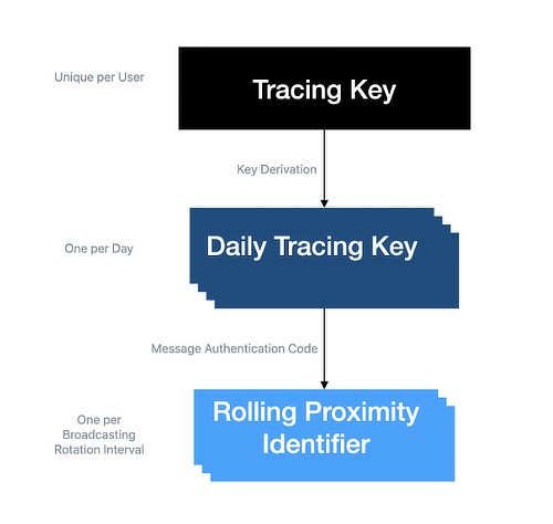 Apple Google Contact Tracing Cryptographic Scheme