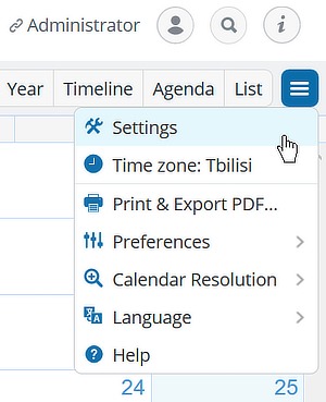 Google Calendar Alternatives Teamup Settings 1