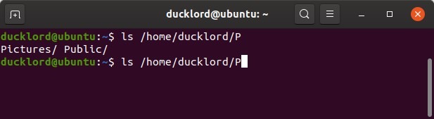 Move Cursor In Bash Autocomplete Ls Move Cursor In Bash Autocomplete Ls