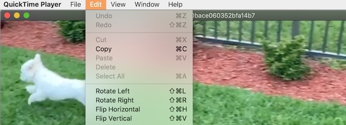 Movie Editing Quicktime Mac Rotate Video
