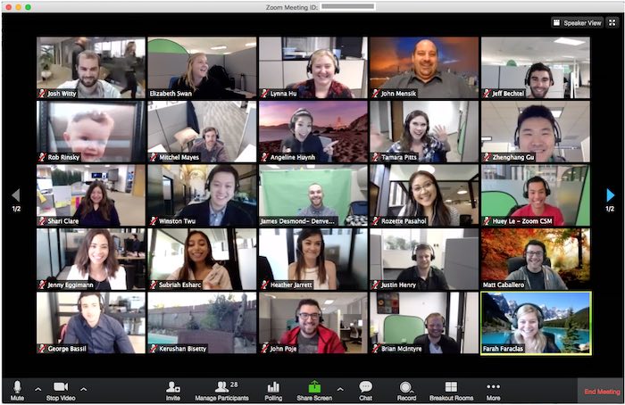 Skype Versus Zoom Lockdown Group Video