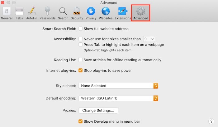 Safari browser Advanced option