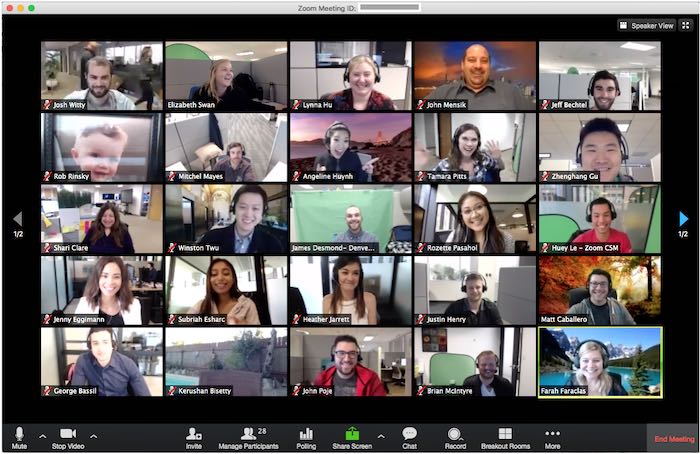 Work From Home Security Zoom