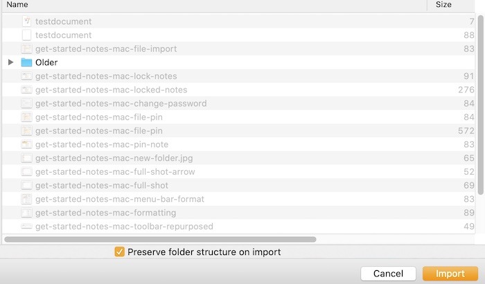 Get Started Notes Mac Import File
