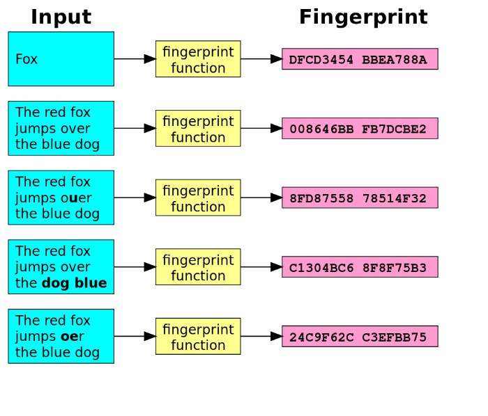 Plagiarism Detection Fingerprinting Plagiarism Detection Fingerprinting