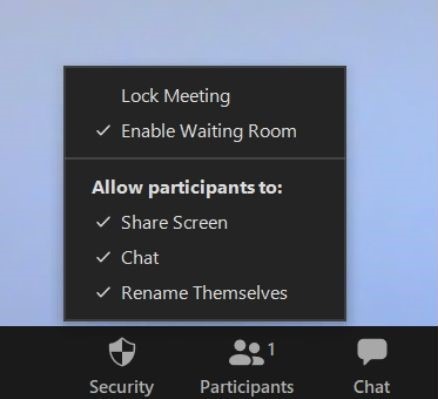 Zoom Security Lock Meetings