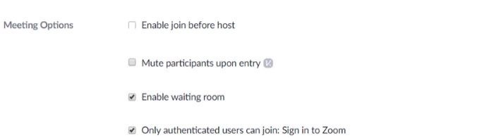 Zoom Security Meeting Options