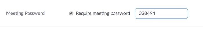 Zoom Security Meeting Password