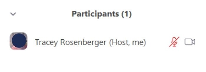 Zoom Security Mute Audio Video