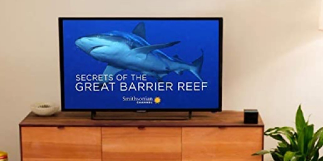 Deal Amazon Fire Cube Featured