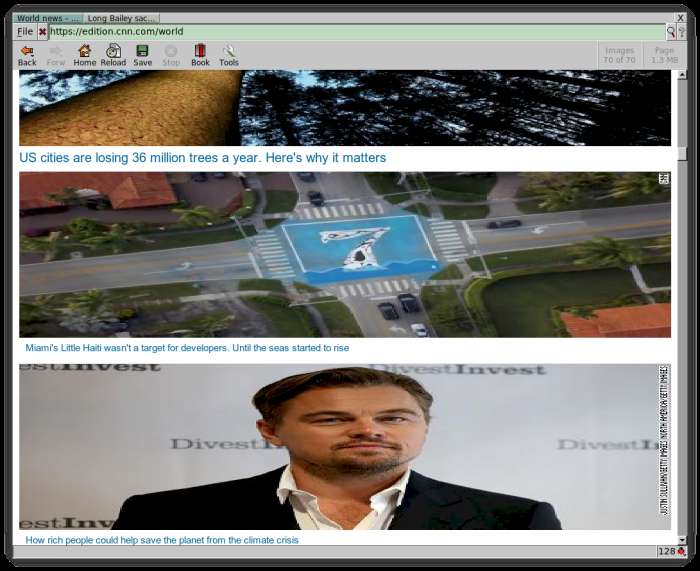 Dillo Stretchy News Dillo Stretchy News