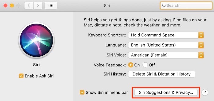 How To Use Siri Suggestions Mac Preferences